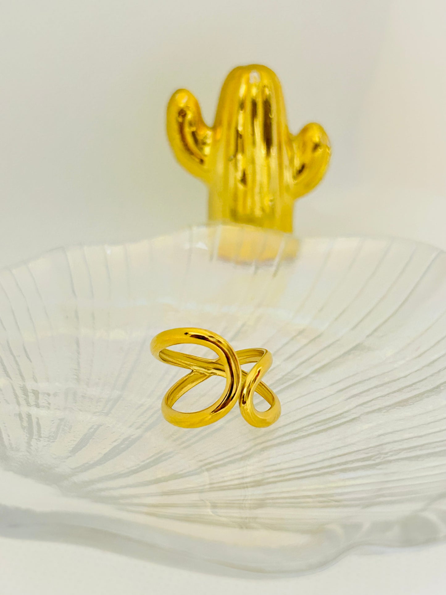 Anillo Noa